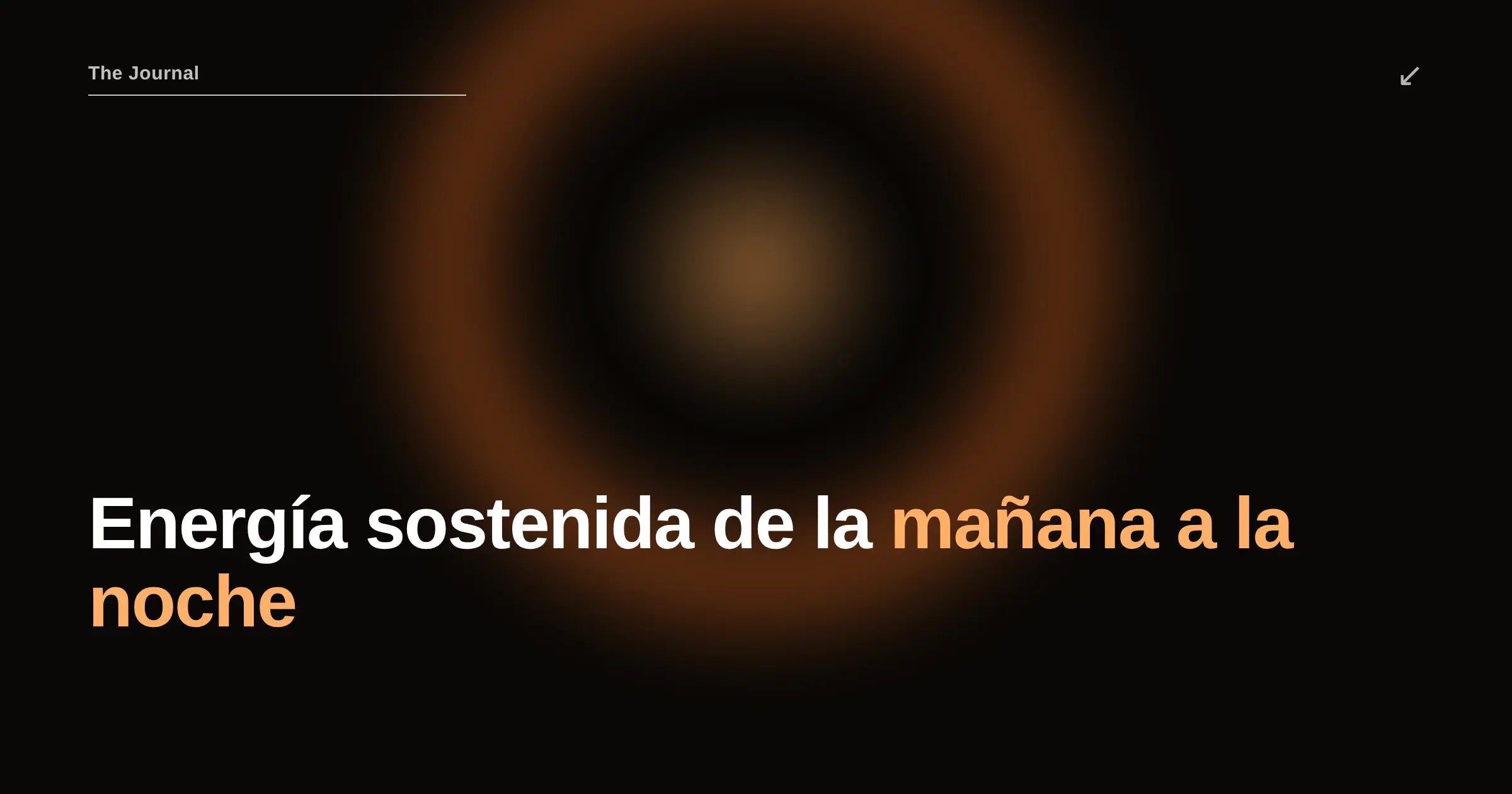 Ejecutivos de alto rendimiento: energía sostenida de la mañana a la noche — Ryva