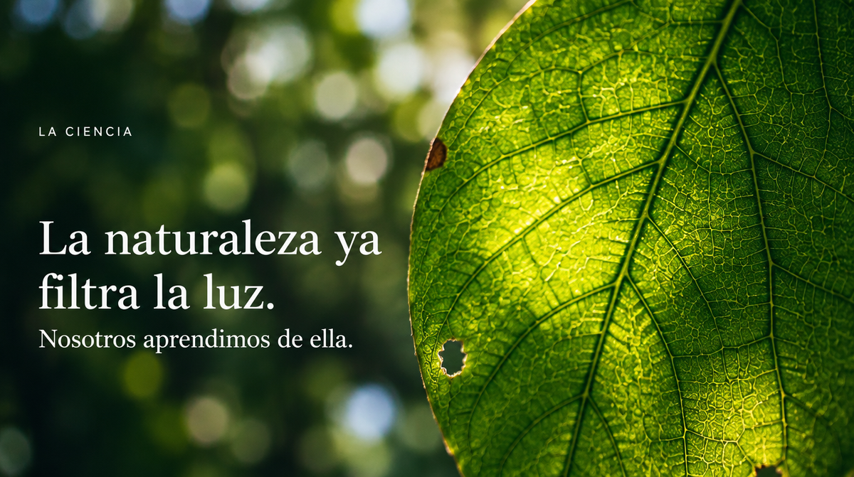 La naturaleza ya filtra la luz. Nosotros aprendimos de ella. Ryva